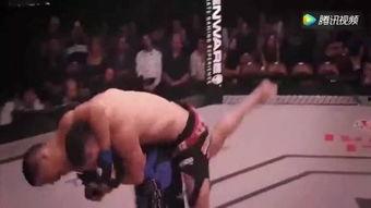 搏击格斗视频中日韩国产,传统与现代的碰撞与融合