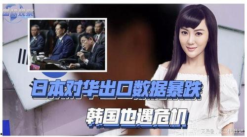 中日韩视频了,共鉴视听盛宴